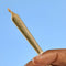 prerolls