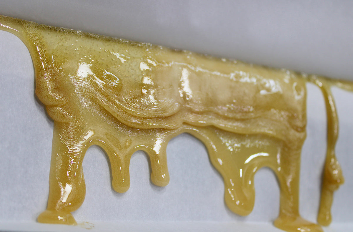 buzz apple | rosin | solventless