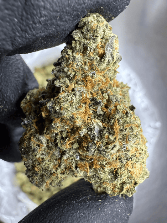 acai gelato | top tier | flower | 1 oz