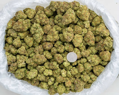 acai gelato | top tier | flower | 1 oz