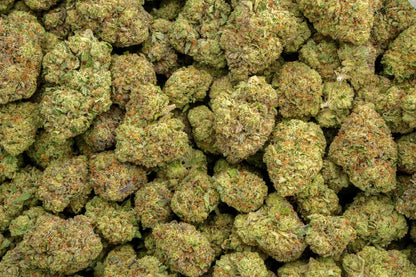acai gelato | top tier | flower | 1 oz