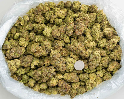 garlic truffle | top tier | flower