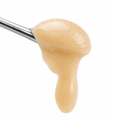 buzz apple | rosin | solventless