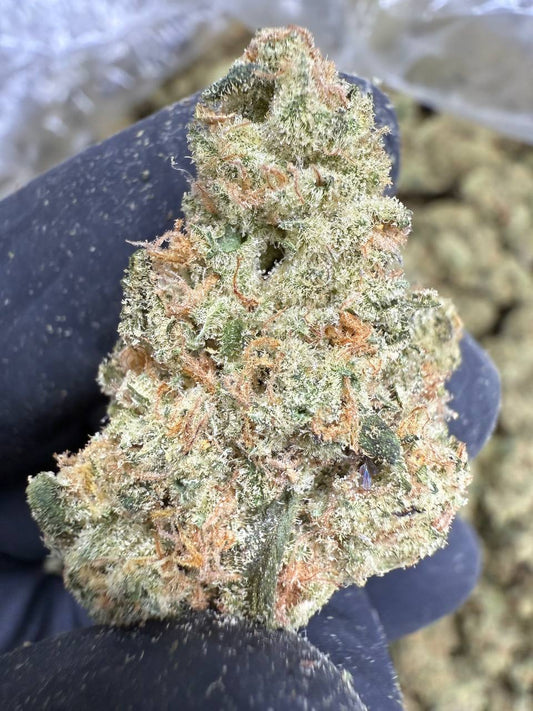 sweet tea | exotic indoor | flower