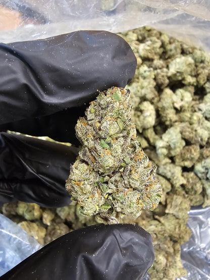 bubba kush | top tier | flower | 1 oz