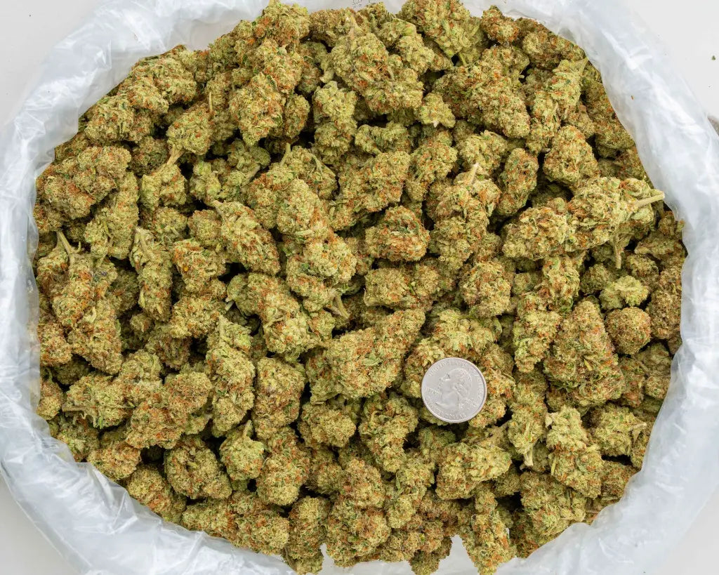 sour kush breath | top tier | flower | 1 oz