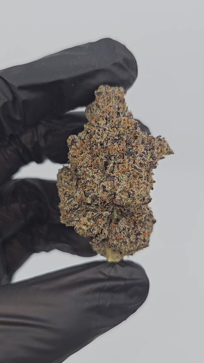 the noze | exotic indoor | flower