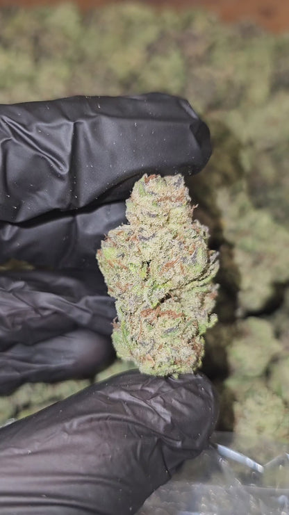funnel cake | top tier | flower