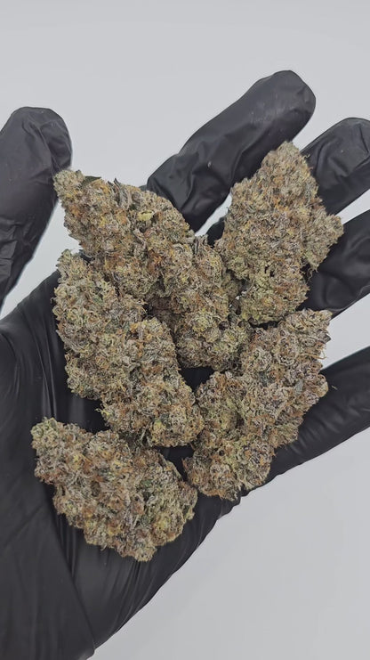 peanut butter breath | exotic indoor | flower