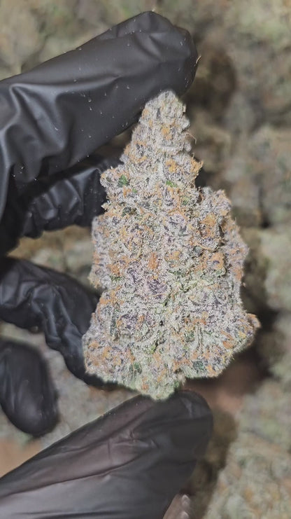 super boof | exotic indoor | flower
