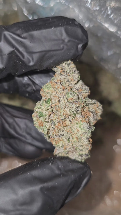 trainwreck | exotic indoor | flower