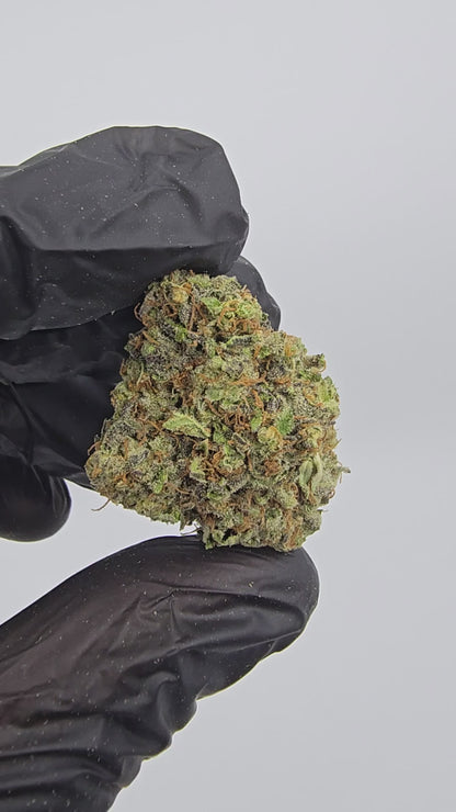 gary peyton | top tier | flower | 1 oz
