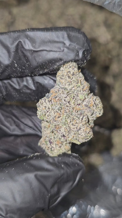 london pound cake | boutique tier | flower