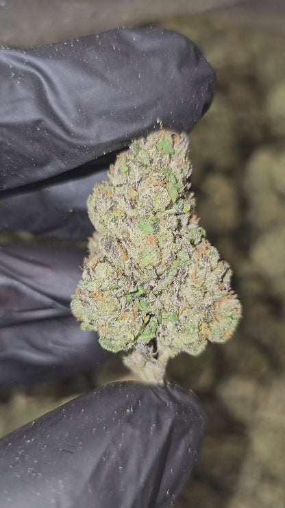bubba kush | top tier | flower | 1 oz