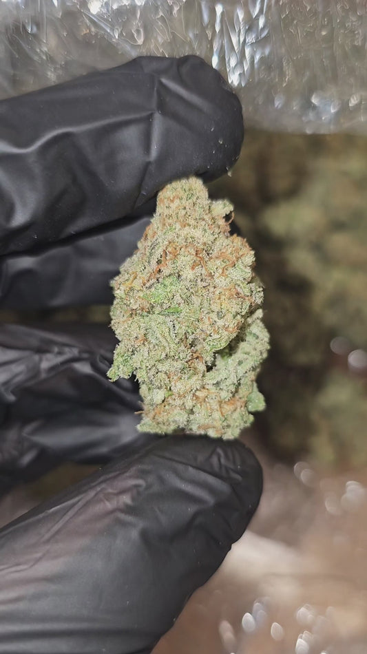 sex panther | boutique tier | flower