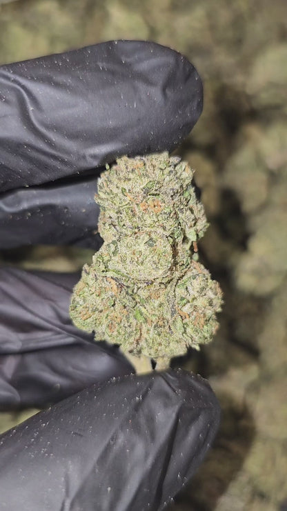 bubba kush | top tier | flower | 1 oz