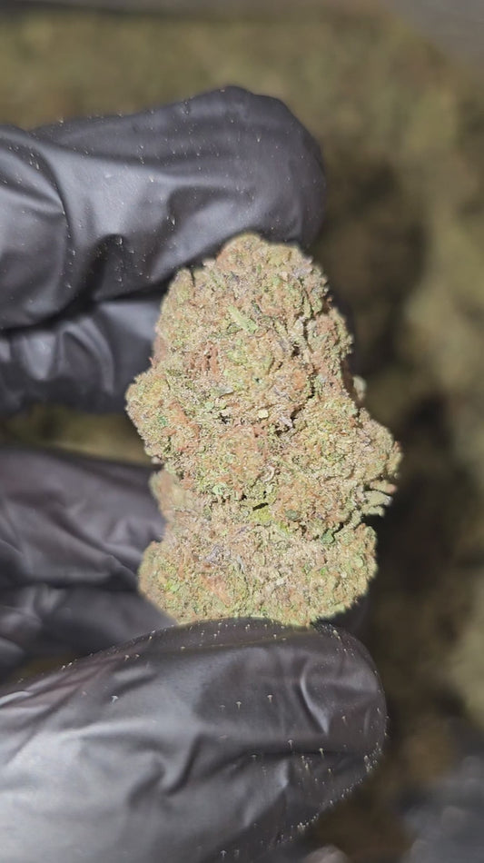 blueberry kush | top tier | flower