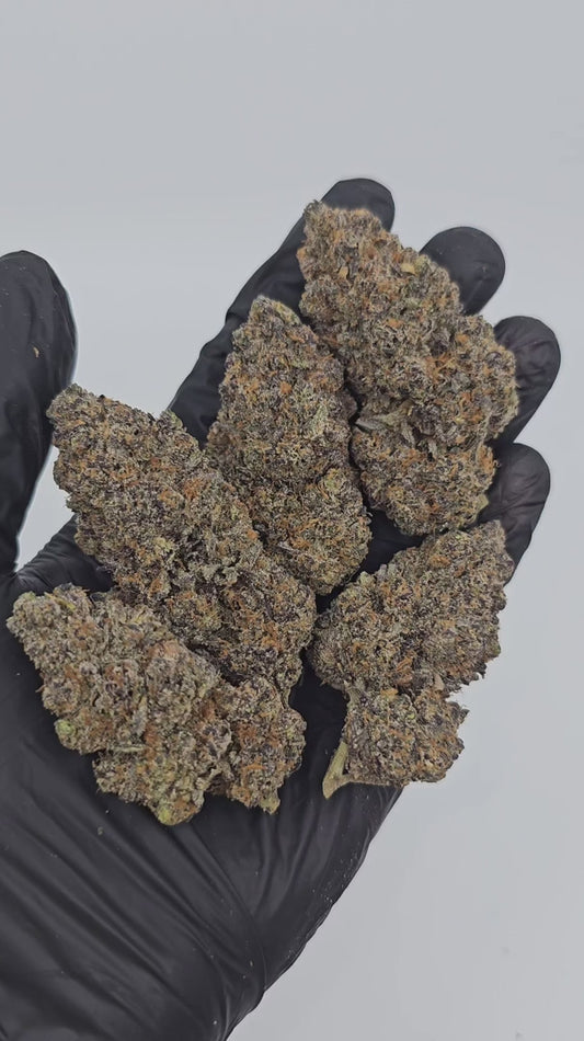 the noze | exotic indoor | flower