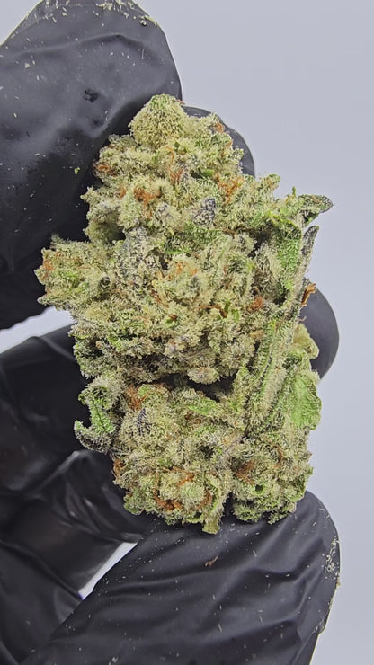 passion fruit | top tier | flower | 1 oz