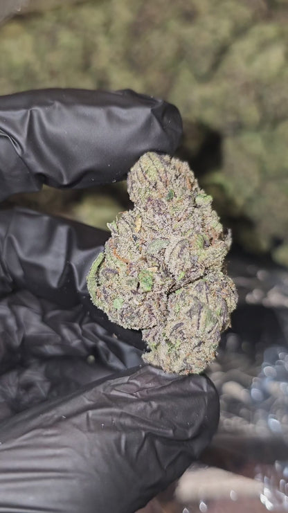 funnel cake | top tier | flower