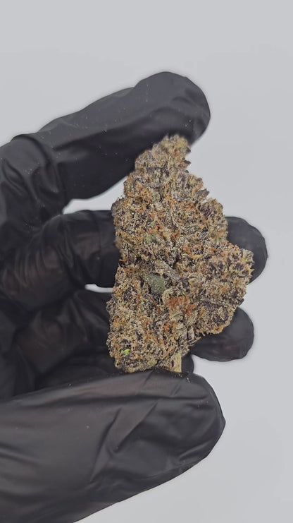 the noze | exotic indoor | flower