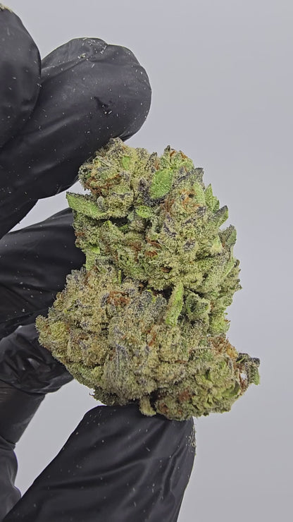 passion fruit | top tier | flower | 1 oz