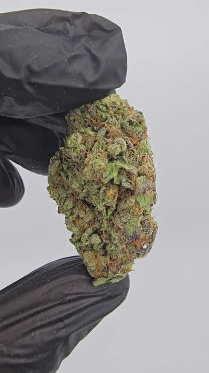 gary peyton | top tier | flower | 1 oz