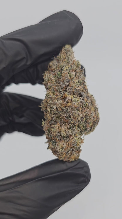 peanut butter breath | exotic indoor | flower
