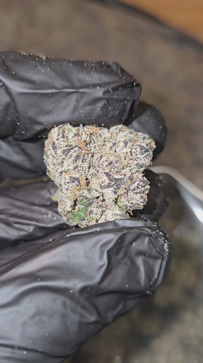 super runtz | exotic indoor | flower