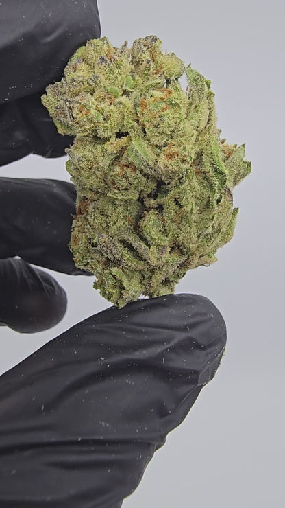 passion fruit | top tier | flower | 1 oz