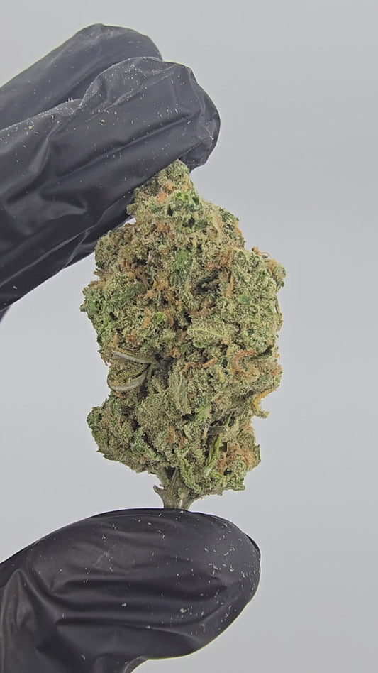 blue dream | top tier | flower