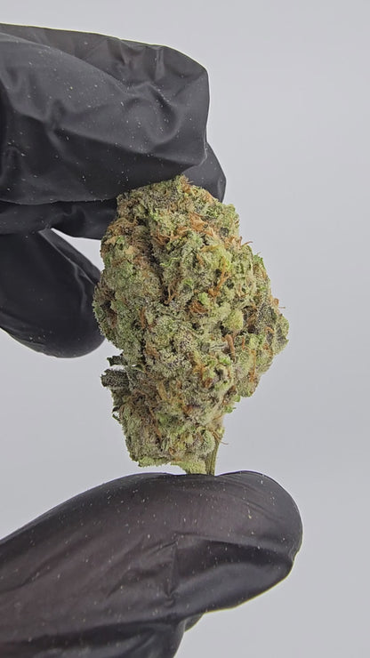 gary peyton | top tier | flower | 1 oz
