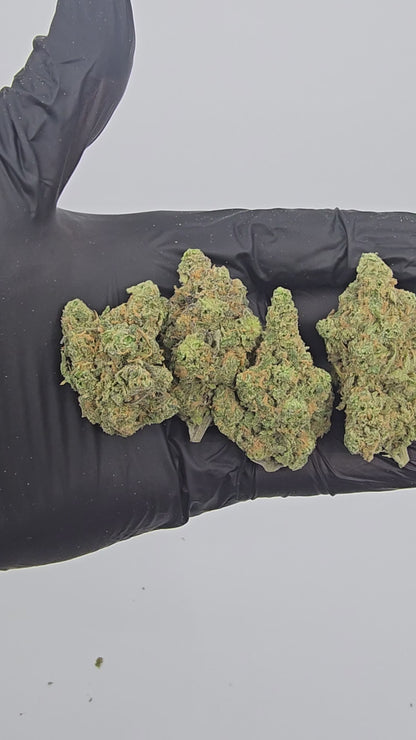 blue dream | top tier | flower | 1 oz