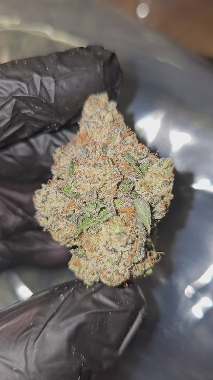 trainwreck | exotic indoor | flower