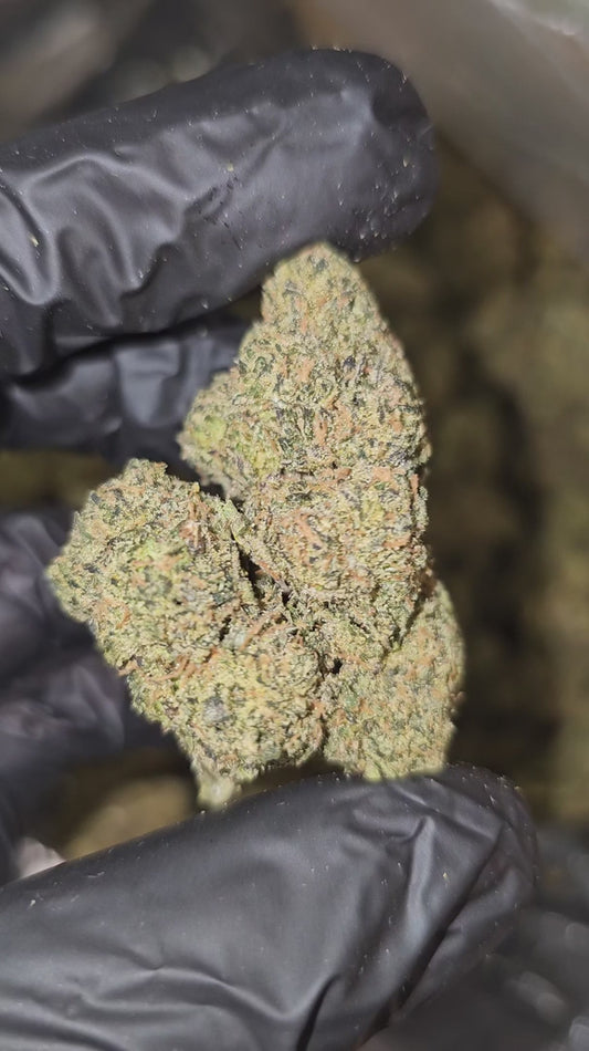 cherry mimosa | top tier | flower | 1 oz