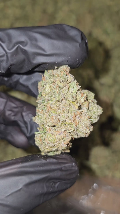 pink panther | top tier | flower | 1 oz