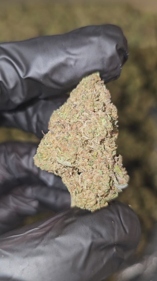 blueberry kush | top tier | flower