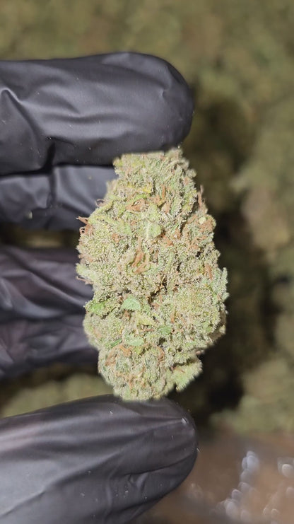 pink panther | top tier | flower | 1 oz