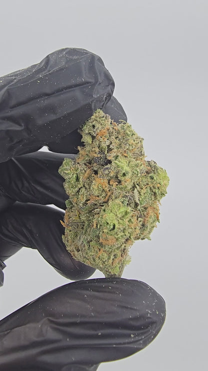 blue dream | top tier | flower | 1 oz