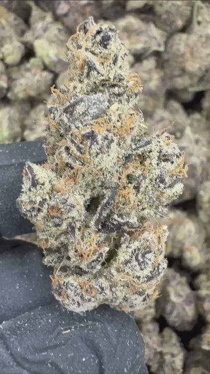 dealer's choice | top tier | flower | 1 oz