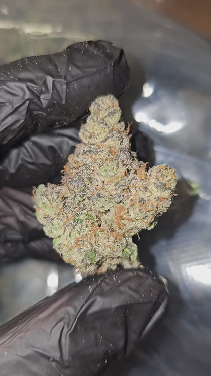 trainwreck | exotic indoor | flower