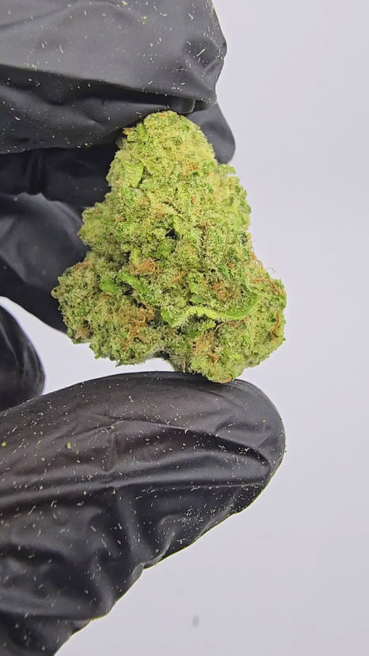 tangerine dream | top tier | flower